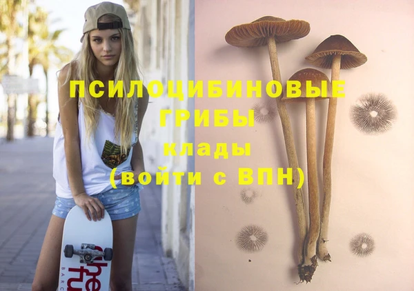 хмурый Михайлов
