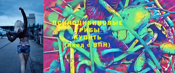 хмурый Михайлов